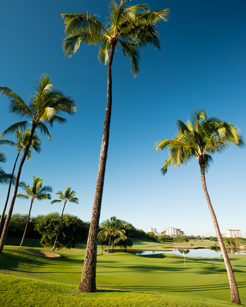 Golf Member Benefits